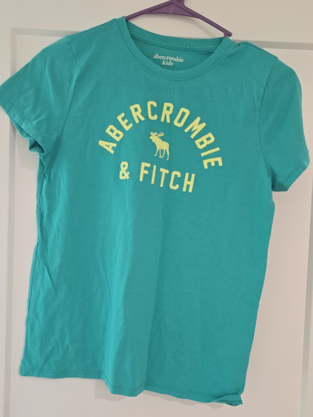 Abercrombie & Fitch Kids Teal Logo Tee with Yellow Print